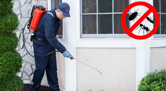 Altıevler Kemirgen İlaçlama böcek ilaçlama ve haşere kontrolü — ilaclama-tr.com